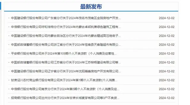 不良贷款列表 不良贷款列表
