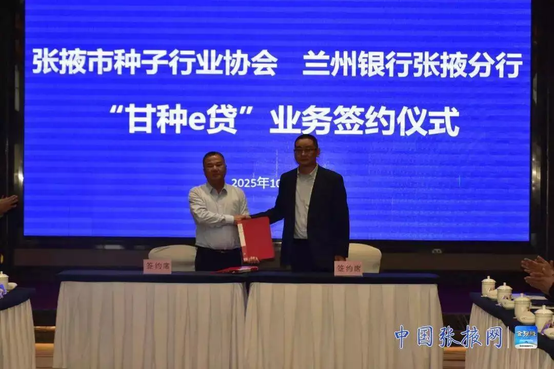 t11508c75c899586457857491ff